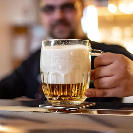 Vendégház Radegastova Frýdek-Místek